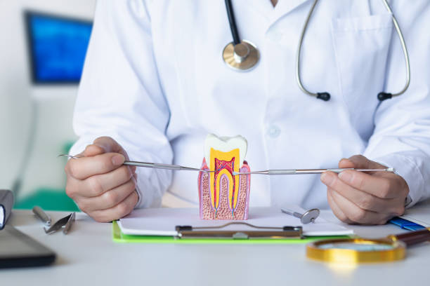 Best Urgent Tooth Repair  in Hamburg, PA